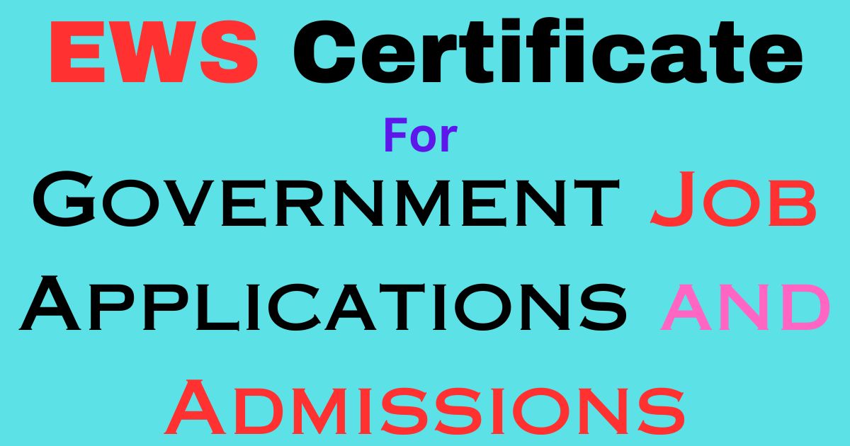 ews-certificate-income-and-asset-certificate-for-government-job